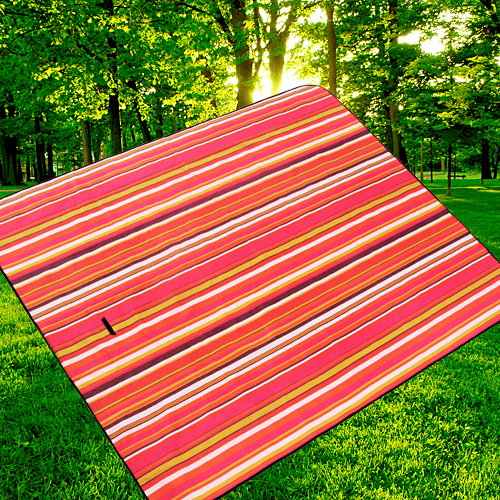 XX纯棉帆布户外野餐垫